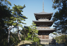 旧燈明寺三重塔は、1457年に京都で建築され、1914年に移築された三渓園のシンボル的存在。関東地方にある木造の塔では最古のもの。